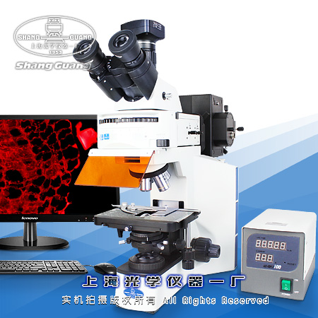 XSP-63XC XSP-63XC